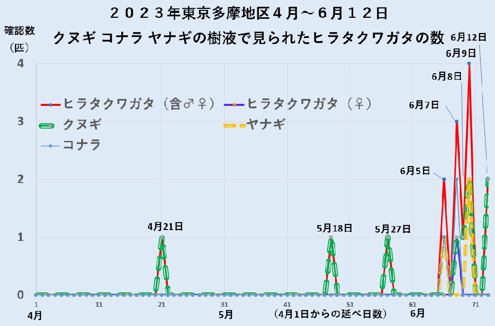2023年4月～6月　東京多摩地区のクヌギ、ヤナギ等の樹液で確認できたヒラタクワガタ数_230613